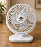 Mini Desk Fan