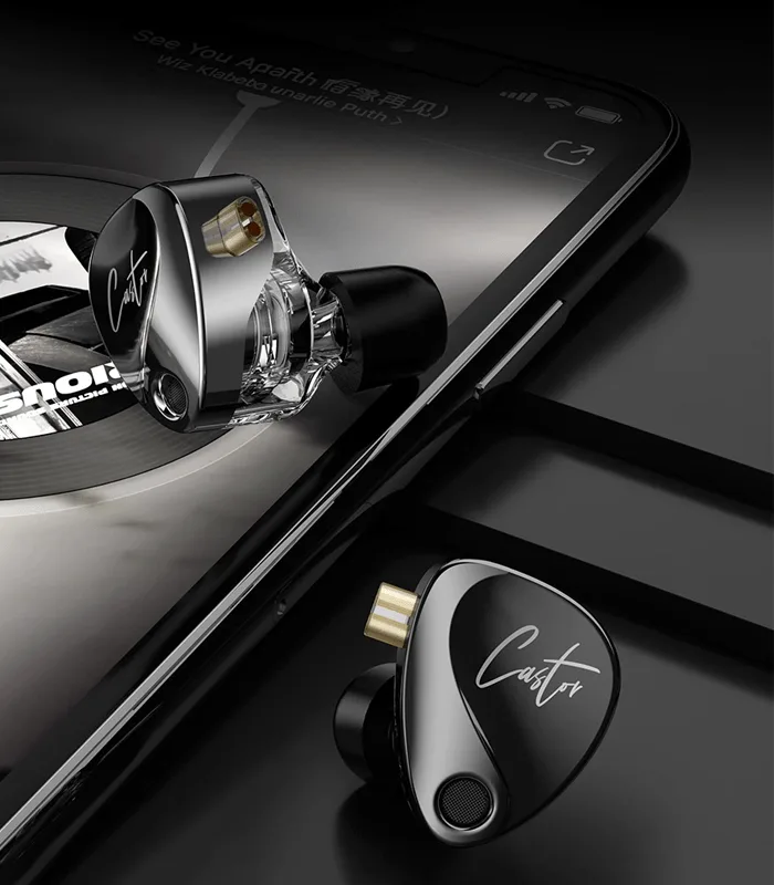KZ Castor Bass Version - Image 2